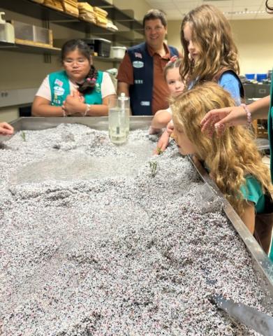 Students and Stream Table