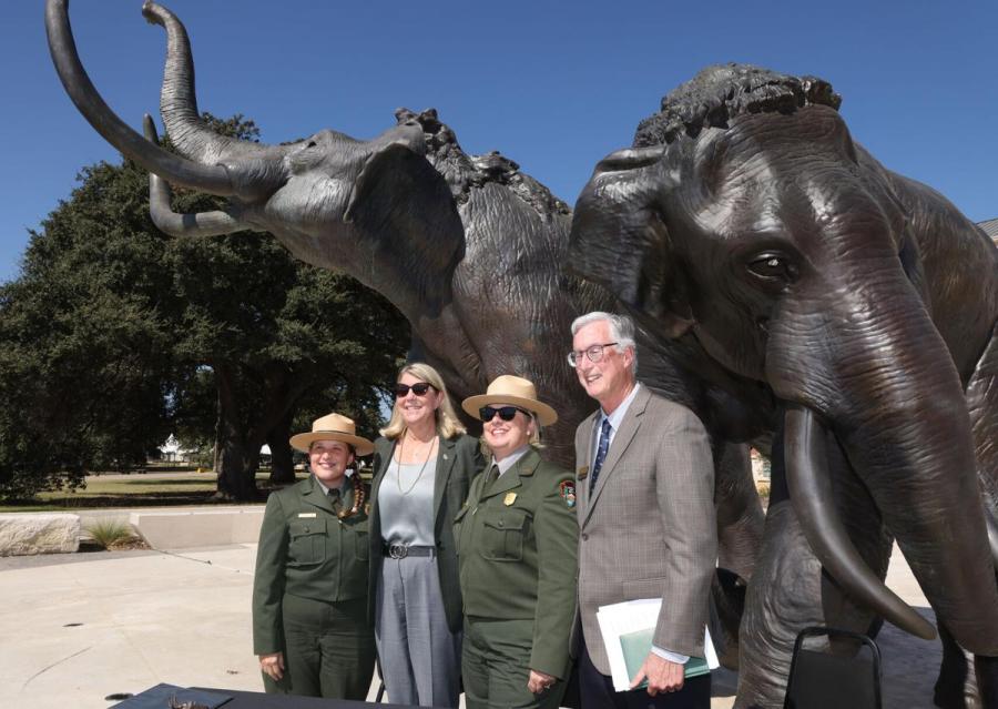 Baylor NPS