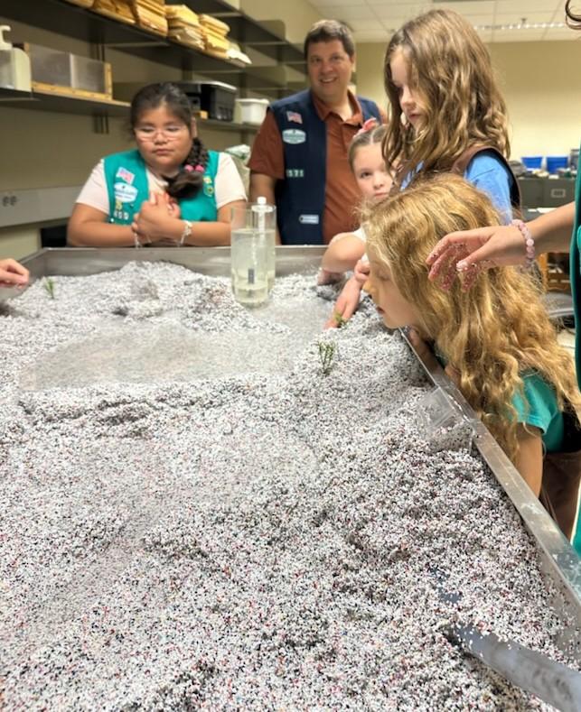 Students and Stream Table
